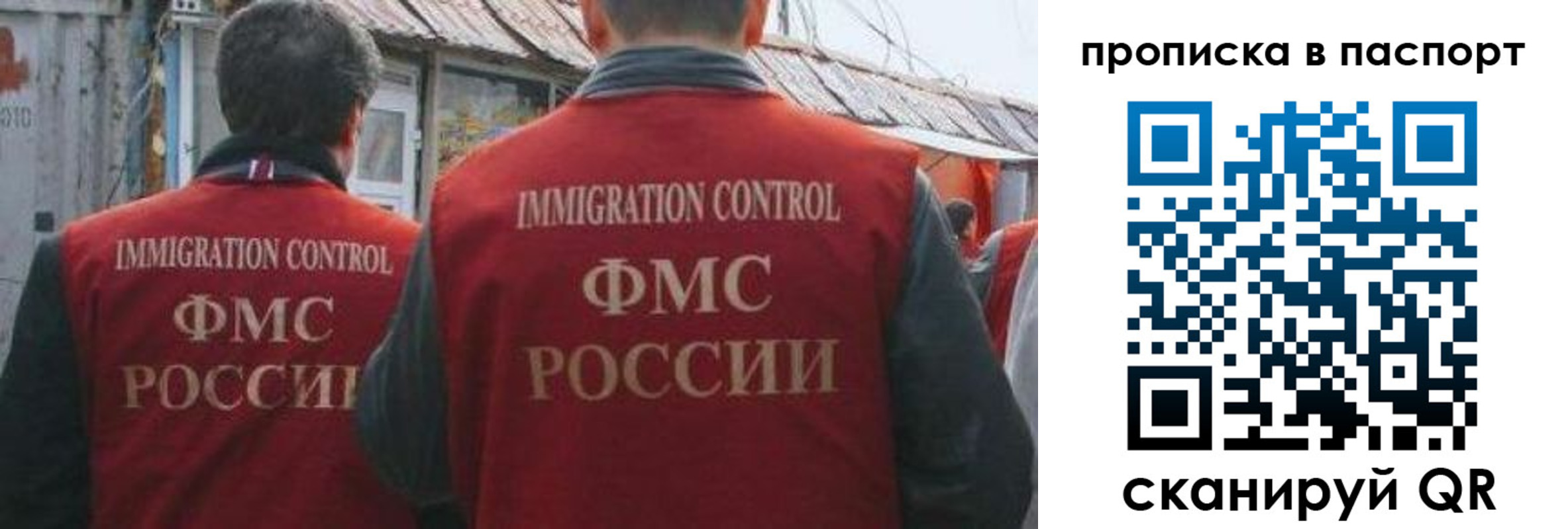 прописка поиск в Светлом